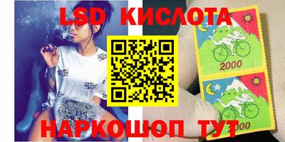 гидропоника Будённовск