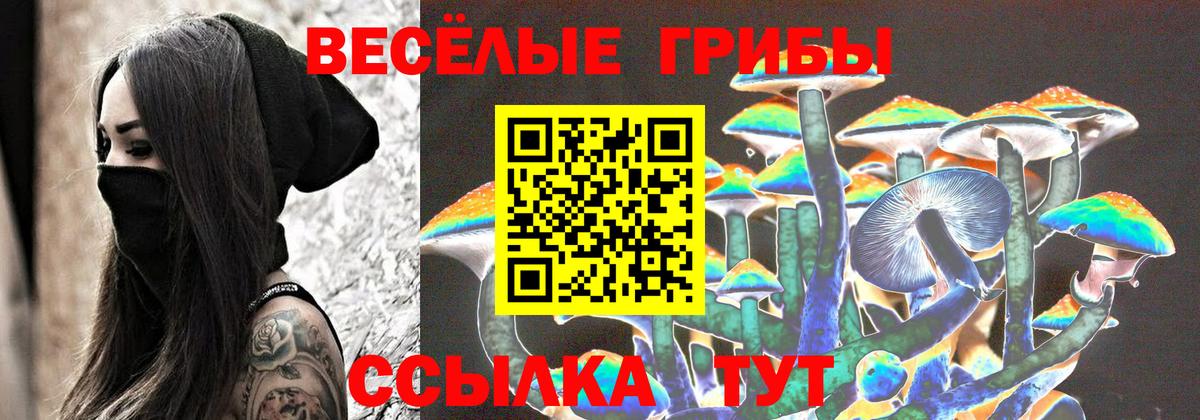 Набережные Челны  продажа наркотиков  Вход с VPN  Псилоцибиновые грибы ЛСД 